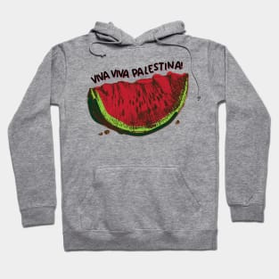 Viva, Viva Palestina Hoodie